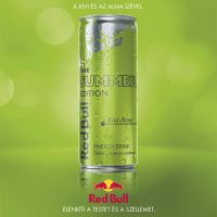 red-bull-the-summer-edition-kiwi-apple-alma-energy-drink-green-can-hungarys